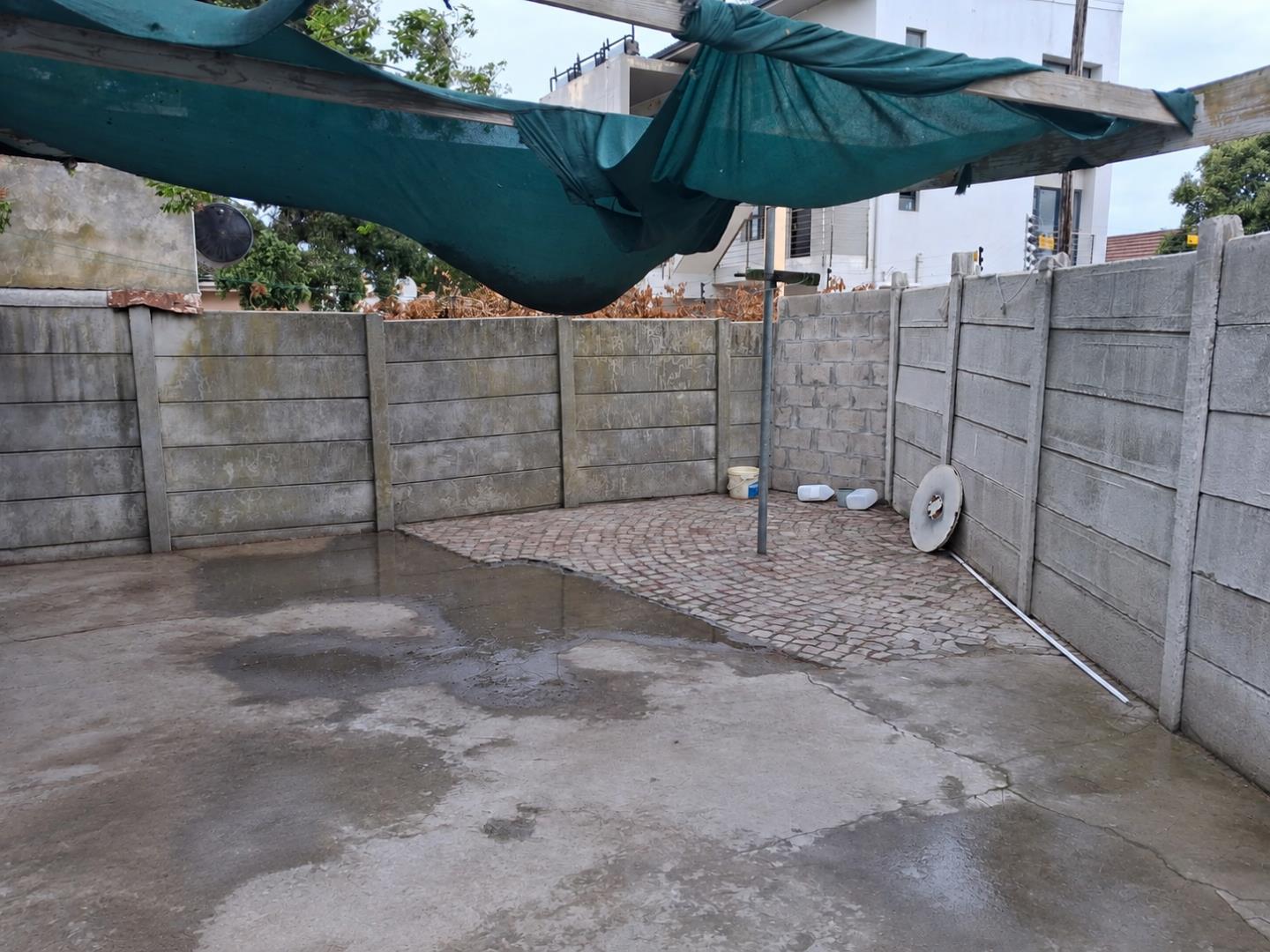 769182_BACKYARD.png