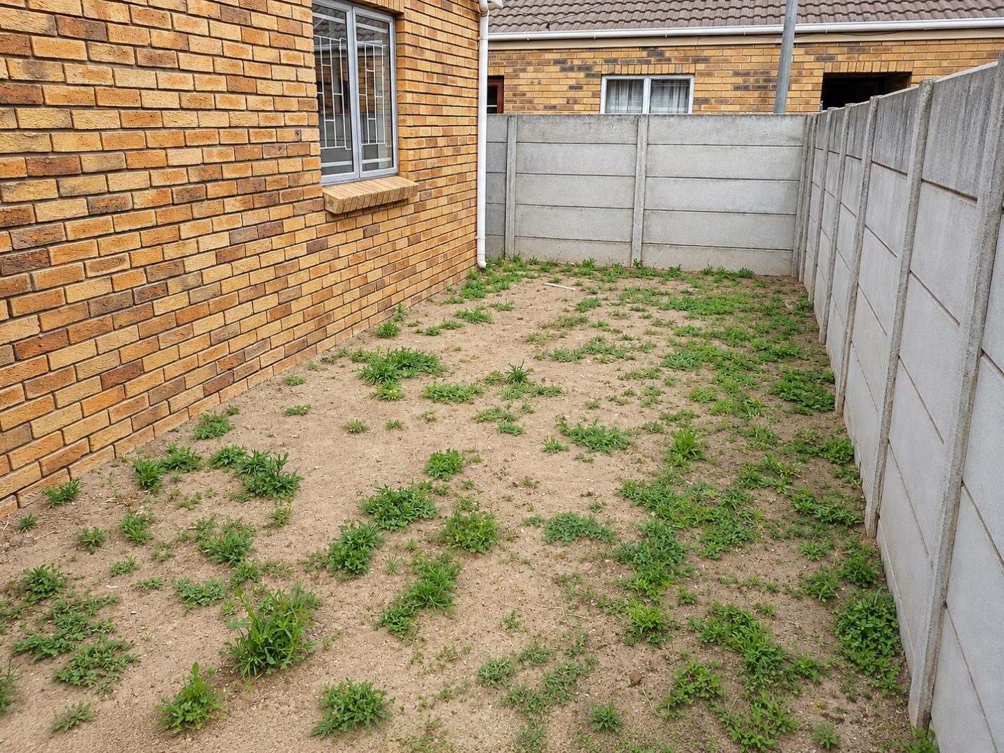 769856_Tidy_Brick-and-Concrete_Yard_Corridor.png